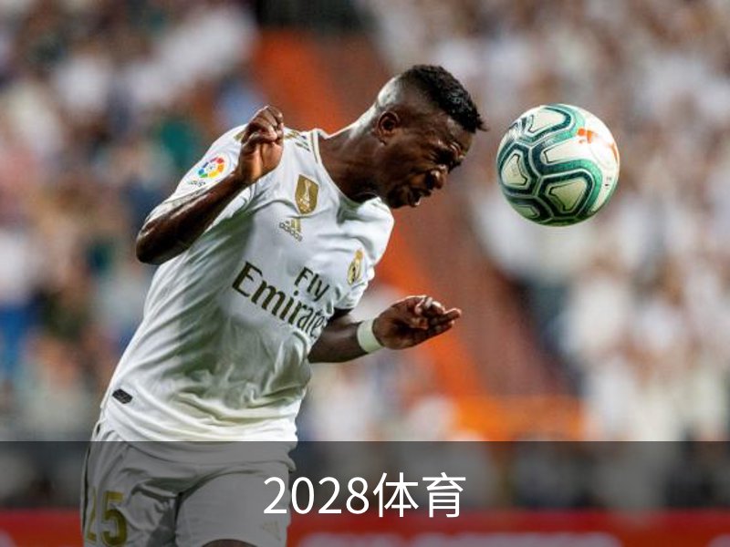 2028体育介绍